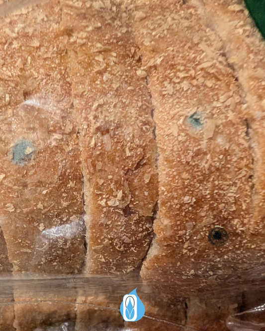How Moisture Causes Food Spoilage Inside Sealed Packaging